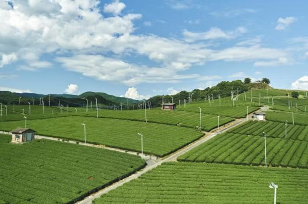 Scenery Course