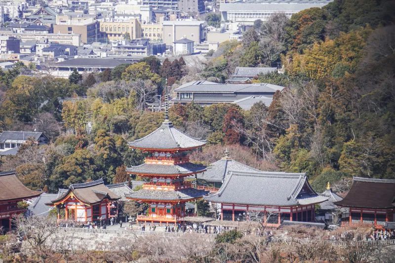 Kyoto from Above: Hike Mt. Amida with Kiyomizu Views