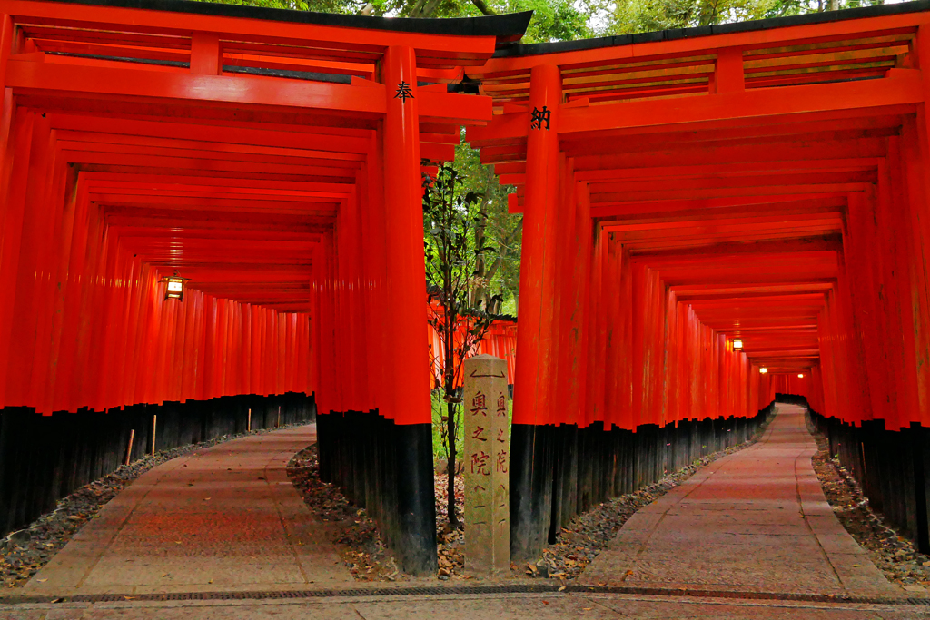 Amazing Kyoto Tours