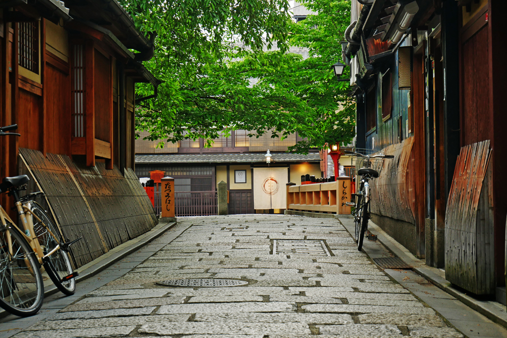Kyoto Short Tour 5.5hrs