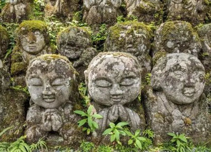 “Deep Kyoto” Otagi Nenbutsu-ji Temple and Arashiyama Bamboo Forest Casual Tour