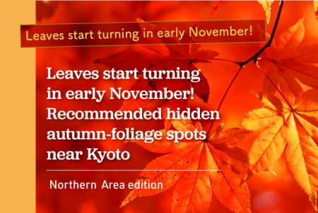 Leaves start turning in early November! Recommended hidden autumn-foliage spots near Kyoto [Northern Area edition]