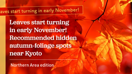 Leaves start turning in early November! Recommended hidden autumn-foliage spots near Kyoto [Northern Area edition]