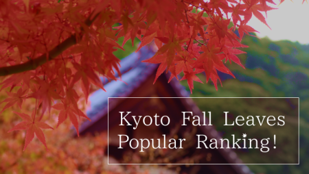 Kyoto Fall Leaves Popular Ranking!
