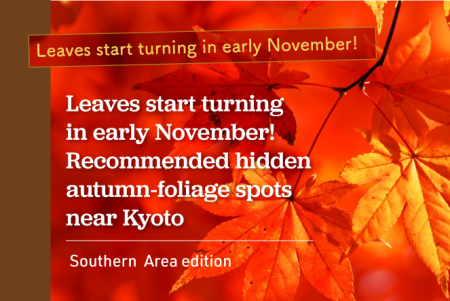 Leaves start turning in early November! Recommended hidden autumn-foliage spots near Kyoto [Southern Area edition]