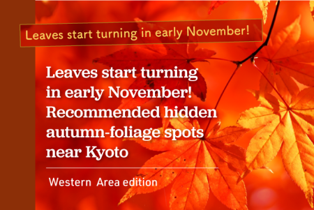 Early-November Foliage: Recommended Hidden Spots [Western Area edition]