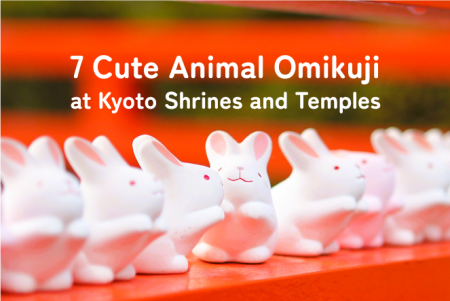 7 Cute Animal Omikuji at Kyoto Shrines and Temples