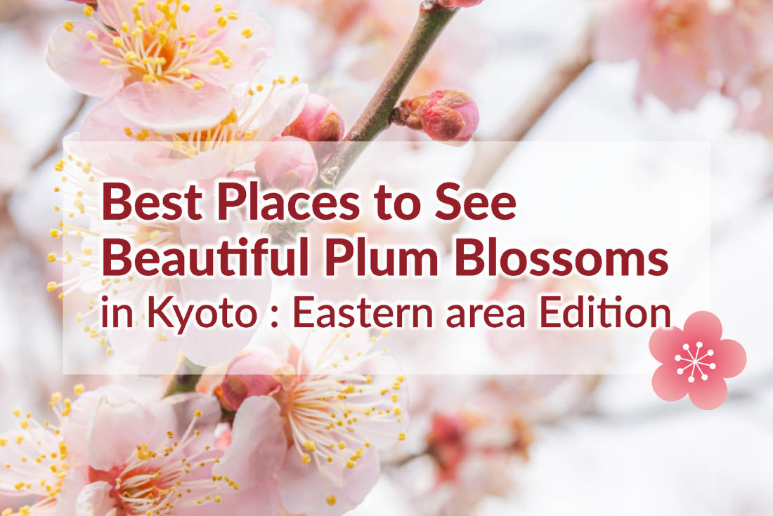 Best Places to See Plum Blossoms: Eastern Kyoto area