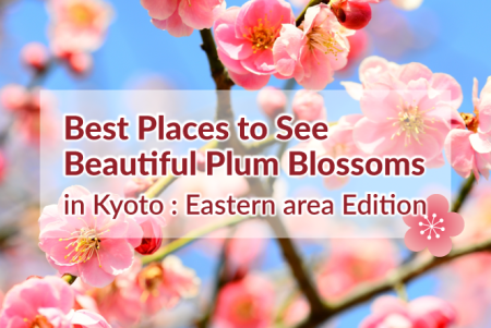 Best Places to See Beautiful Plum Blossoms in Kyoto: Eastern area Edition