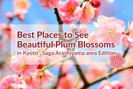 Best Places to See Plum Blossoms: Southern Kyoto area