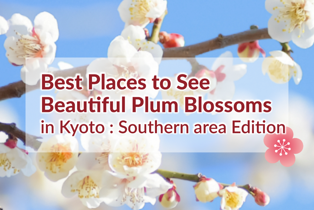 Best Places to See Plum Blossoms: Southern Kyoto area