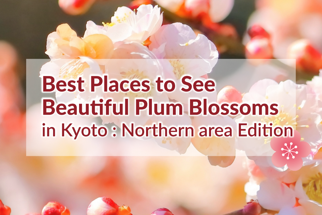Best Places to See Plum Blossoms: Northern Kyoto area