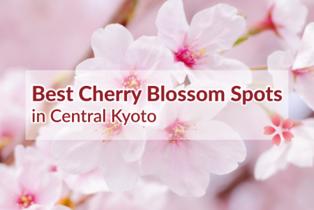 Best Cherry Blossom Spots in Central Kyoto