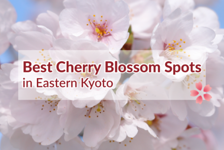 Best Cherry Blossom Spots in Eastern Kyoto