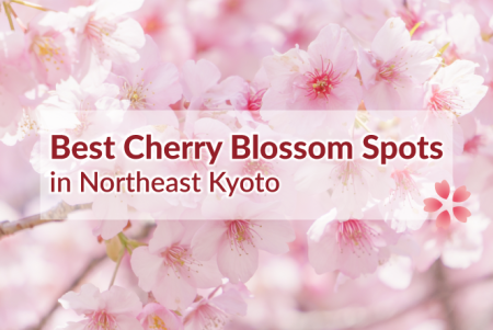 Best Cherry Blossom Spots in Northeast Kyoto
