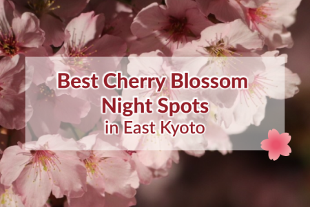 Best Cherry Blossom Night Spots in East Kyoto