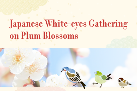 Japanese White-eyes Gathering on Plum Blossoms