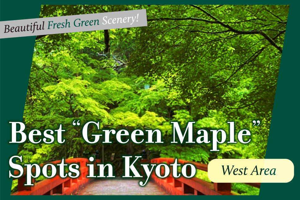 Best Green Maple Spots in Kyoto West Area