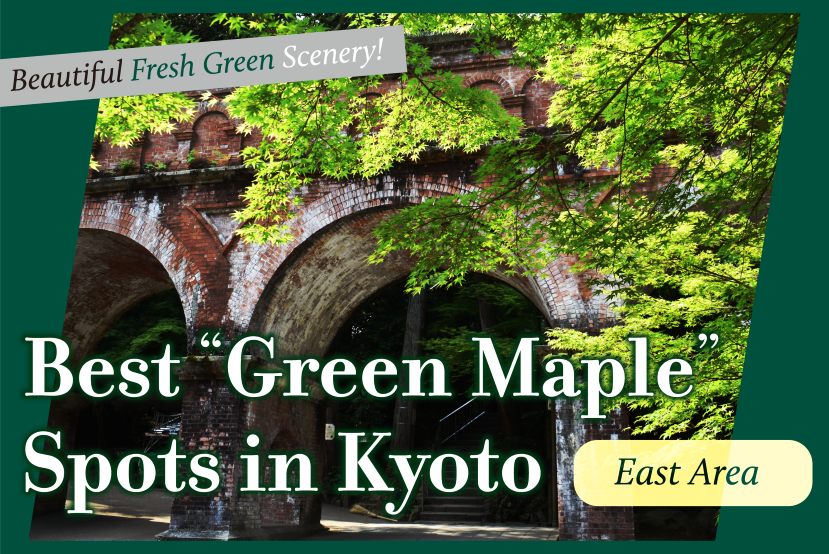 Best Green Maple Spots in Kyoto East Area
