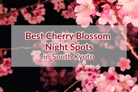 Best Cherry Blossom Night Spots in South Kyoto