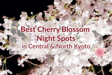 Best Cherry Blossom Night Spots Central & North Kyoto