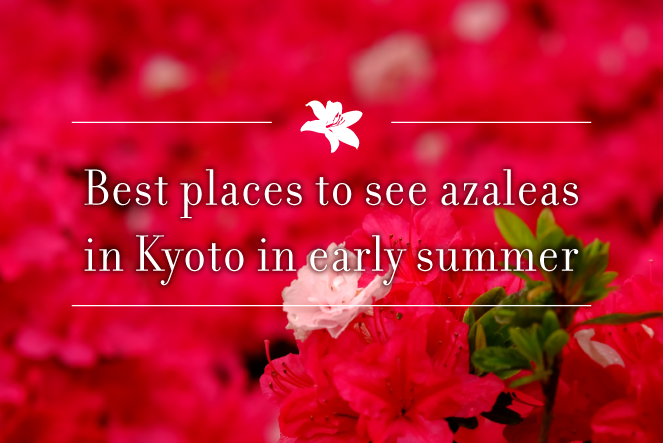 Best places to see azaleas in Kyoto in early summer
