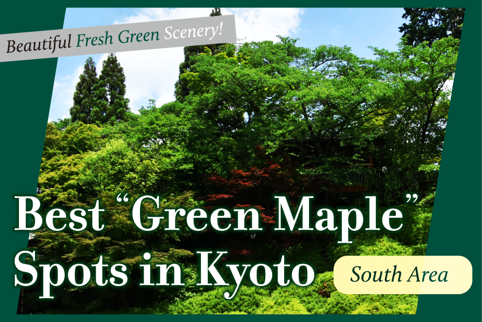 Best Green Maple Spots in Kyoto South Area