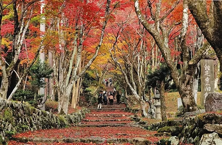 Northern Lake Biwa Tour